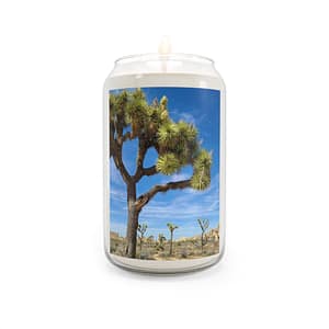 Desert Joshua Scented Candle, 13.75oz - Southwest-Natural Landscape