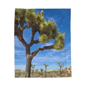 Desert Joshua Velveteen Plush Blanket - Southwest-Natural Landscape