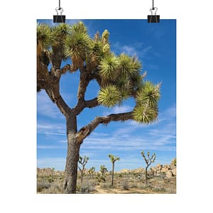 Desert Joshua Matte Vertical Poster - Southwest-Natural Landscape