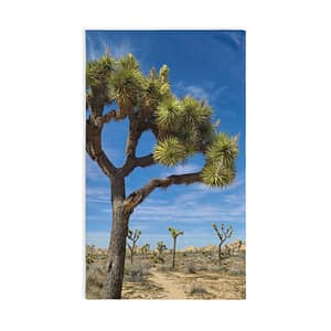 Desert Joshua Hand Towel - Southwest-Natural Landscape